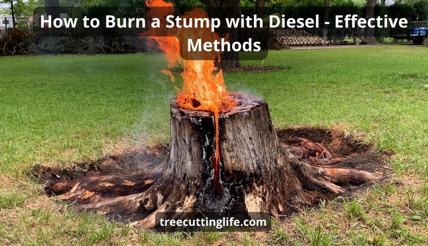 How To Burn A Stump With Diesel 5 Steps Detailed Manual